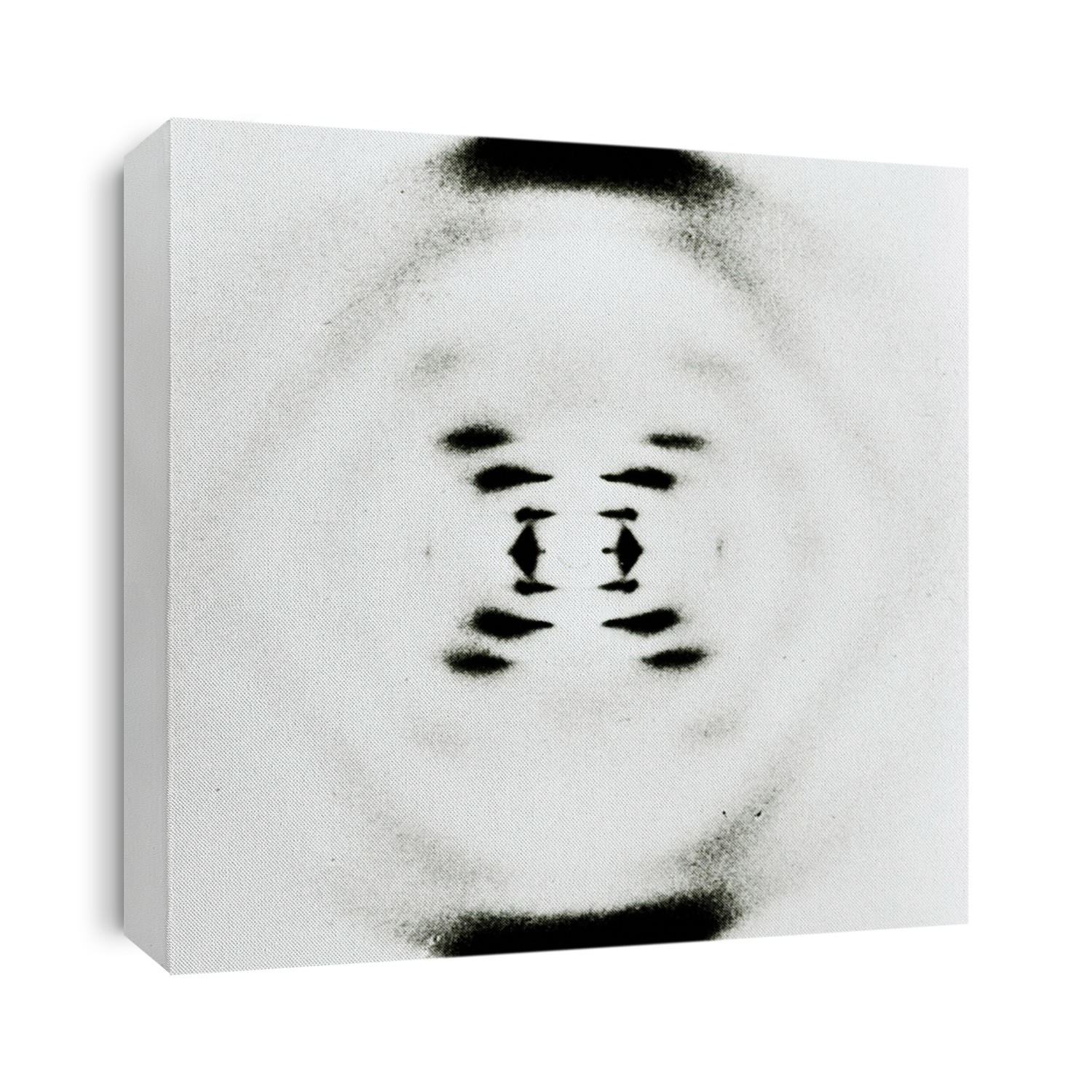 DNA. X-ray diffraction photograph of DNA (deoxyribonucleic acid). This image of the beta (b-form) of DNA was obtained by Rosalind Franklin in 1953, the year in which Watson and Crick discovered DNA's structure, aided by Franklin's work. The image results from a beam of X-rays being scattered onto a photographic plate by the DNA. Various features about the structure of the DNA can be determined from the pattern of spots and bands. The cross of bands indicates the helical nature of DNA.