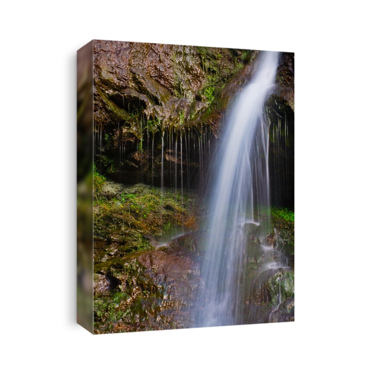 Waterfall Austria Canvas Print | CanvasWorld