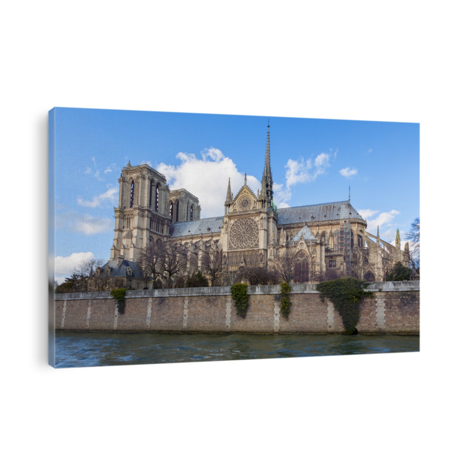 Notre Dame Cathedral in Paris. Springtime view. of the side elevation with spire and rear flying butresses, taken from across the river Seine. 